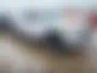 Vehicle Image- 2021 Toyota Tacoma
