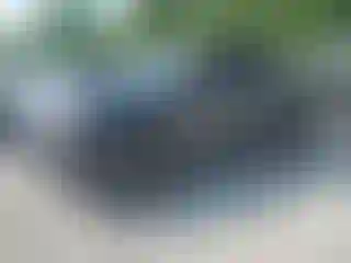 Vehicle Image- 2021 Toyota Tacoma