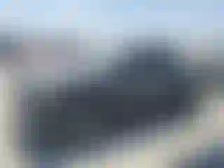 Vehicle Image- 2016 Toyota Tacoma