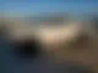 Vehicle Image- 2020 Toyota Tacoma