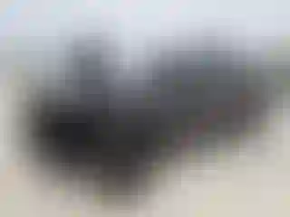 Vehicle Image- 2018 Toyota Tacoma