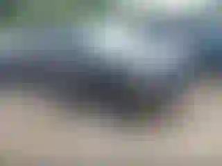 Vehicle Image- 2021 Toyota Tacoma