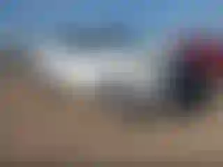 Vehicle Image- 2008 Toyota Tundra