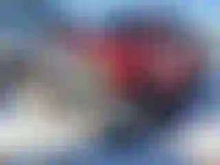 Vehicle Image- 2008 Toyota Tundra