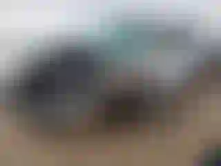 Vehicle Image- 2008 Toyota Tundra