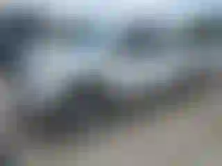 Vehicle Image- 2011 Toyota Tundra