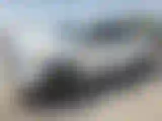 Vehicle Image- 2019 Toyota Tundra