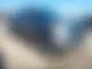 Vehicle Image- 2017 Toyota Tundra