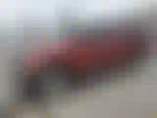 Vehicle Image- 2010 Toyota Tundra