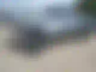 Vehicle Image- 2021 Toyota Tundra
