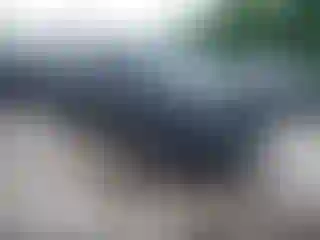 Vehicle Image- 2019 Toyota Tundra