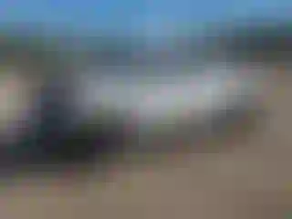 Vehicle Image- 2020 Toyota Tundra