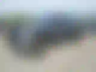 Vehicle Image- 2021 Toyota Tundra