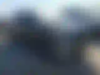 Vehicle Image- 2020 Toyota Tundra