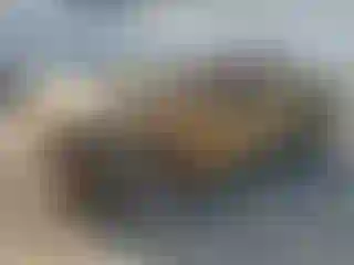 Vehicle Image- 2021 Toyota Tundra