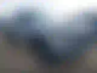 Vehicle Image- 2021 Toyota Tacoma