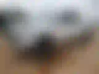 Vehicle Image- 2021 Toyota Tacoma