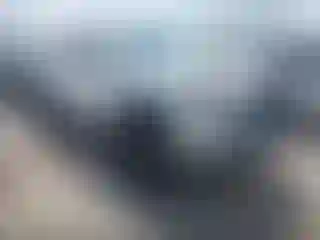 Vehicle Image- 2021 Toyota Tacoma