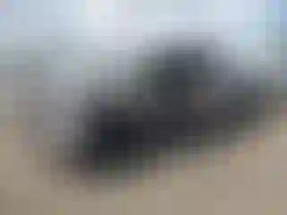 Vehicle Image- 2019 Toyota Tundra