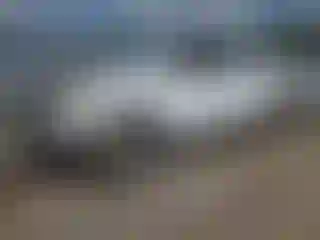 Vehicle Image- 2008 Toyota Tundra