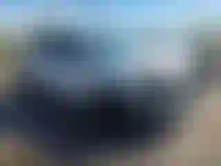 Vehicle Image- 2007 Toyota Tundra