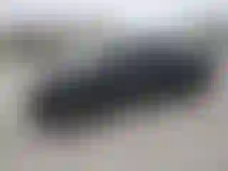 Vehicle Image- 2008 Toyota Tundra