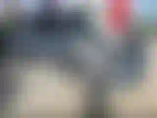 Vehicle Image- 2020 Toyota Tundra