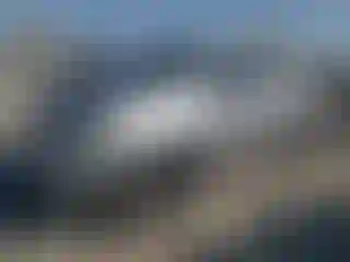 Vehicle Image- 2012 Toyota Tundra