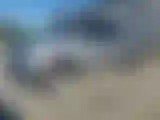 Vehicle Image- 2011 Toyota Tundra