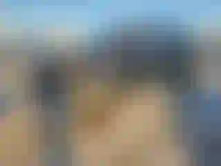 Vehicle Image- 2020 Toyota Tundra