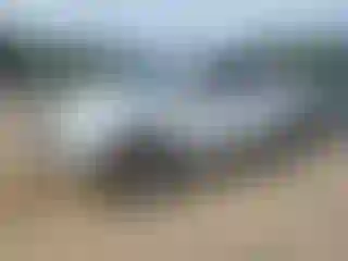Vehicle Image- 2010 Toyota Tundra