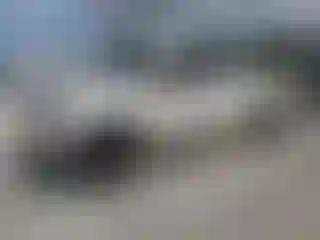 Vehicle Image- 2010 Toyota Tundra