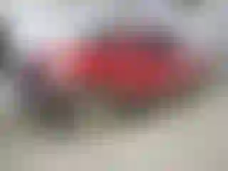 Vehicle Image- 2015 Toyota Tundra