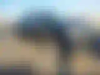 Vehicle Image- 2014 Toyota Tundra