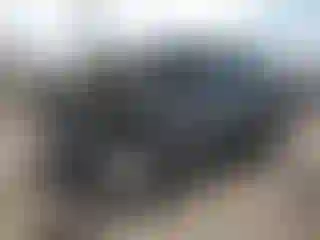 Vehicle Image- 2012 Toyota Tundra