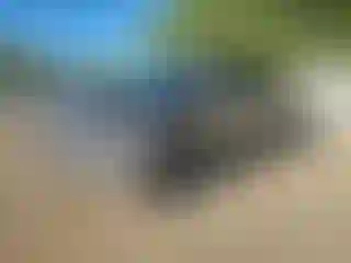 Vehicle Image- 2013 Toyota Tundra