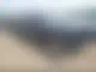 Vehicle Image- 2019 Toyota Tundra
