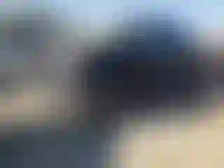 Vehicle Image- 2019 Toyota Tundra