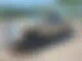 Vehicle Image- 2020 Toyota Tundra