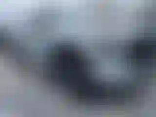 Vehicle Image- 2022 Toyota Tundra