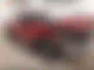 Vehicle Image- 2024 Toyota Tundra