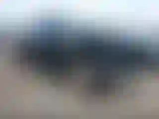 Vehicle Image- 2024 Toyota Tundra