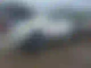 Vehicle Image- 2014 Toyota Tacoma