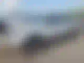 Vehicle Image- 2015 Toyota Tacoma