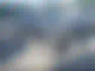 Vehicle Image- 2011 Toyota Tacoma