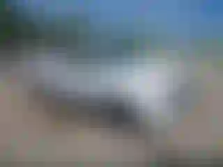 Vehicle Image- 2013 Toyota Tacoma
