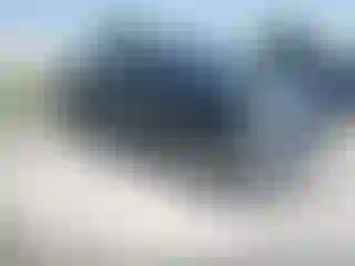 Vehicle Image- 2007 Toyota Tundra