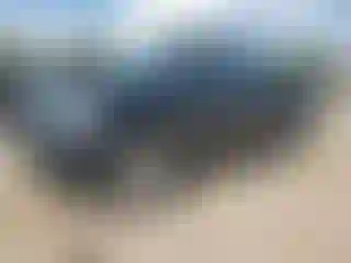 Vehicle Image- 2007 Toyota Tundra