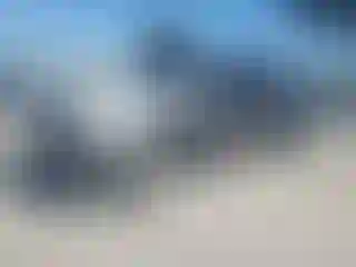 Vehicle Image- 2015 Toyota Tacoma