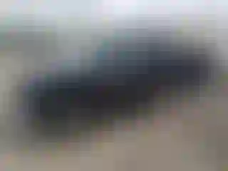 Vehicle Image- 2014 Toyota Tacoma